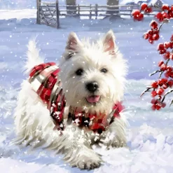 Adventskalender "Hunde-Weihnacht"