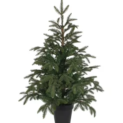 Baum Frasier Fir Grun, 100 Cm