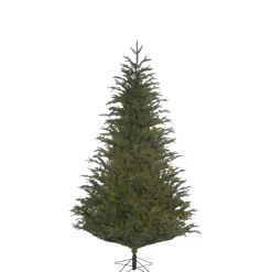 Baum Frasier Fir Grun, 185 Cm