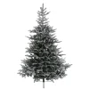Baum Grandis Fir Beschneit, 120 Cm