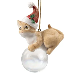 Beiges Katzchen Auf Kugel