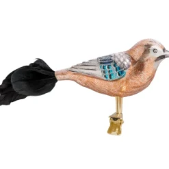 Eichelhaher Mit Clip