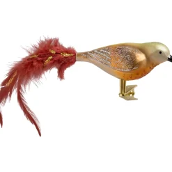 Glasvogel Grun-Braun