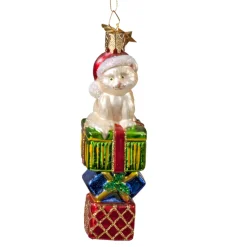 Katze Auf Geschenkpaketen