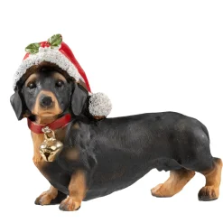 Kleiner Dackel Mit Glocke