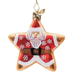 Platzchenstern Mit Weihnachtsmann