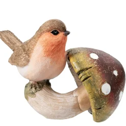 Rotkehlchen Auf Pilz