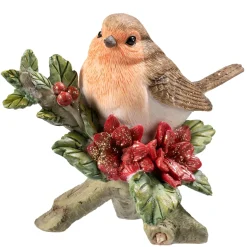 Rotkehlchen Auf Weihnachtsstern