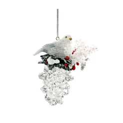 Tannenzapfen Mit Vogelnest