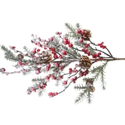 Zweig Mit Roten Beeren Und Tannenzapfen